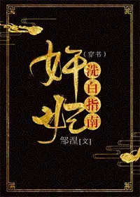 The Treacherous Concubine’s Guide To Whitewashing cover