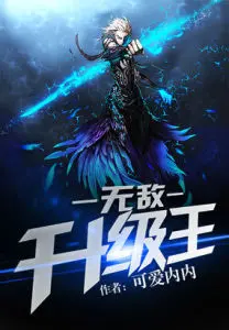 Invincible Leveling King cover