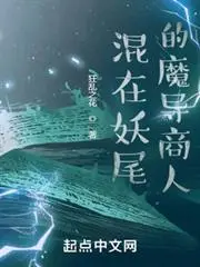 The Magic Merchant of Fairy Tail cover