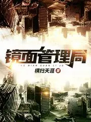 Mirror Management Bureau cover