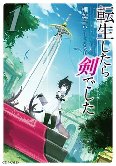 I Was a Sword When I Reincarnated (WN) cover