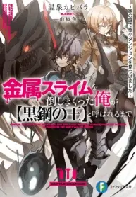 From Slaying Metal Slimes to Being Called the King of Black Steel e cover