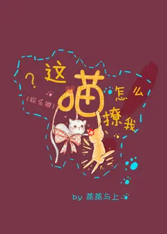 How Could This Cat Tease Me? cover