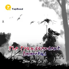 The Transcendent Immortal cover