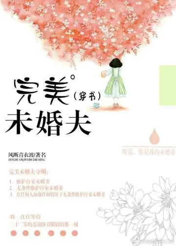 Perfect Fiancé cover