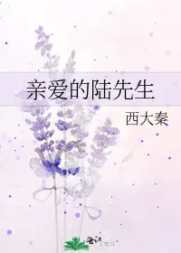 Dear Mr. Lu cover