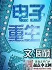 Electronic Rebirth cover